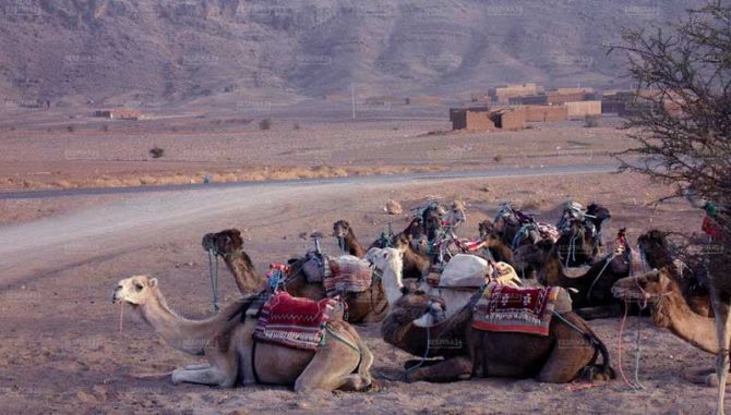 خرید بلیط رفت و برگشتی مراکش